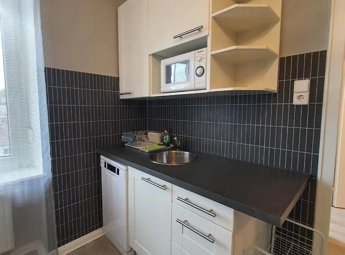 Schwan16 - Apartament